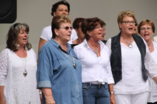 Uitvoering Muziektuin 2014 (3).jpg